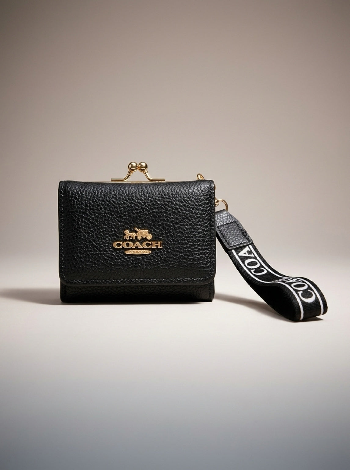 Mini Wallet Coach